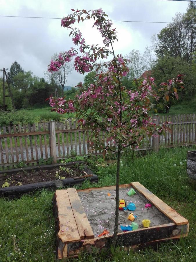 Pod Bieszczadem Villa Jasliska ภายนอก รูปภาพ